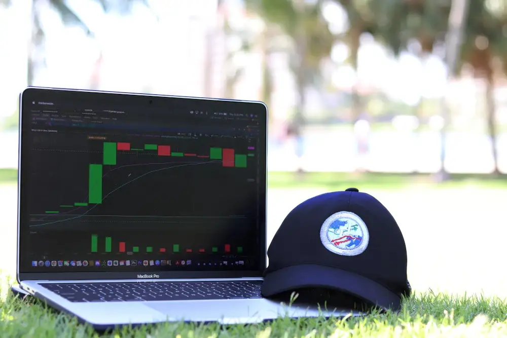 Trading Para Principiantes Think Trader